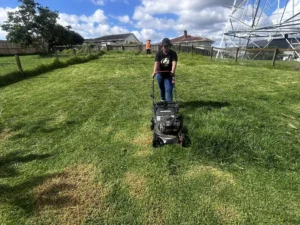 Read more about the article Free overgrown lawnz